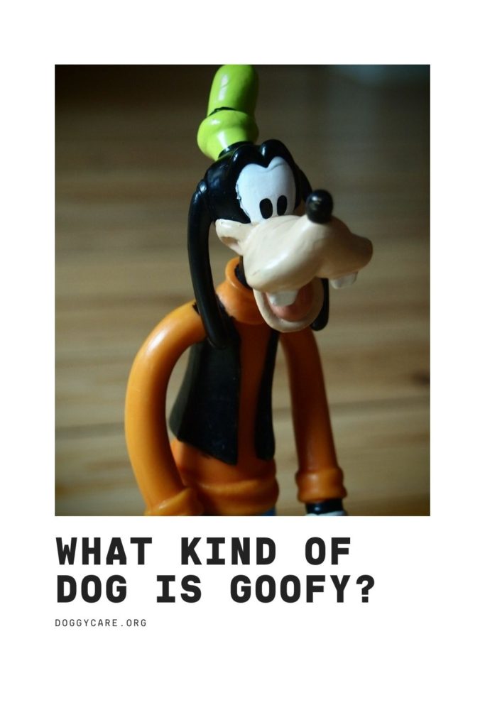 What Kind Of Dog Is Goofy?