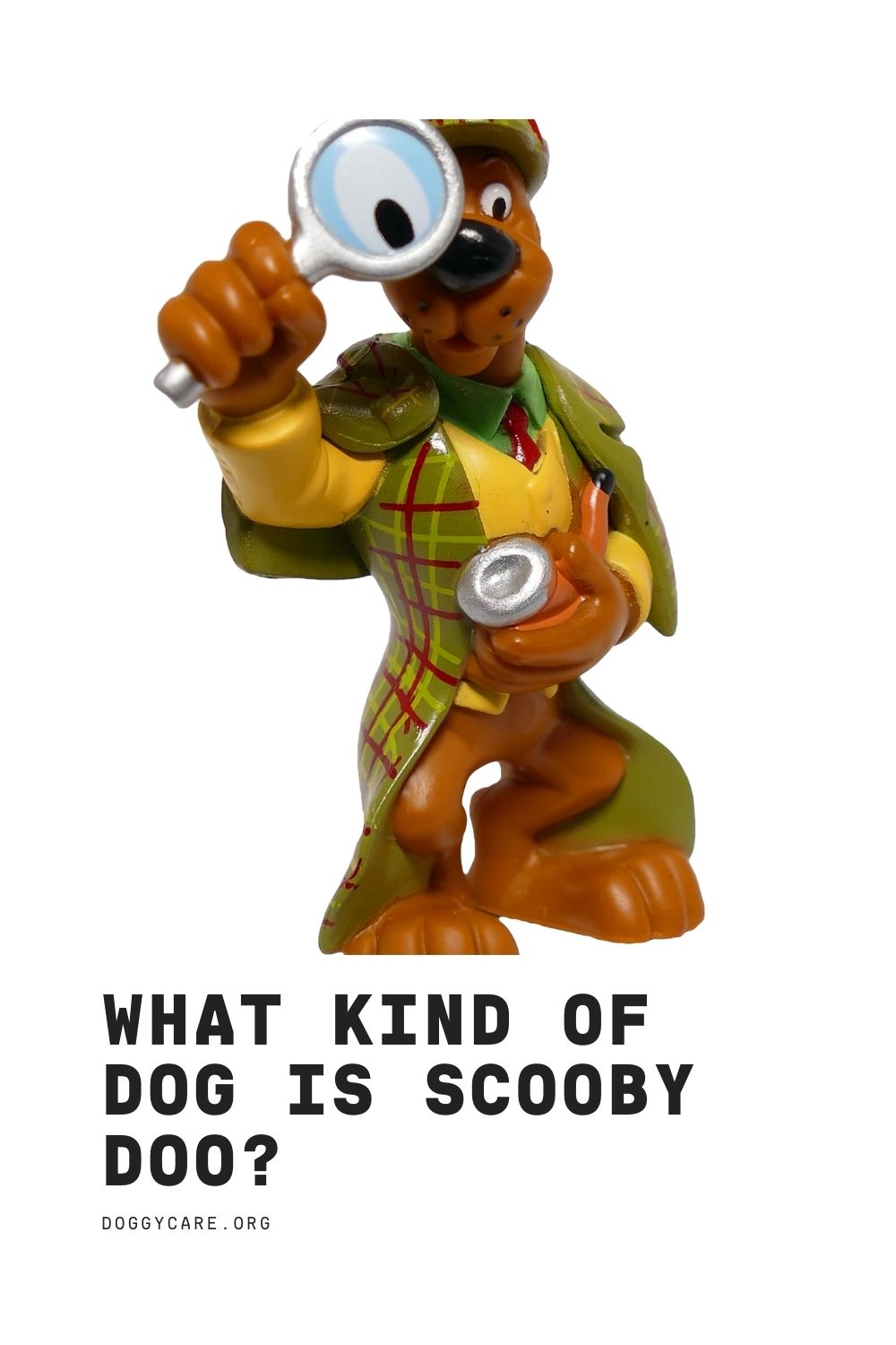 What kind of dog is scooby doo 