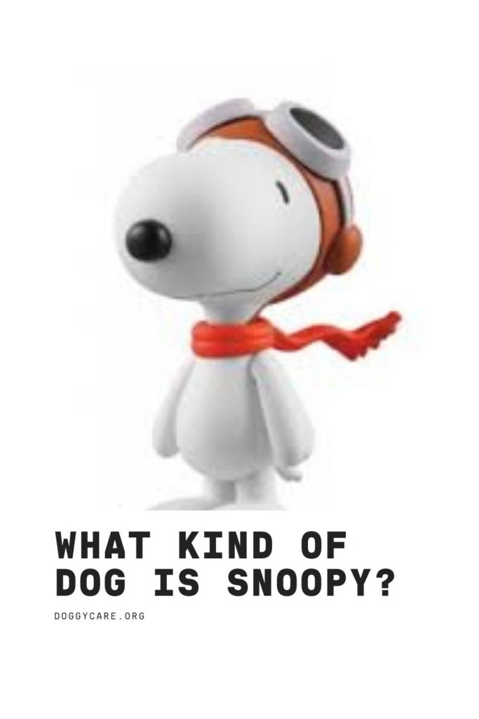 What Kind Of Dog Is Snoopy?